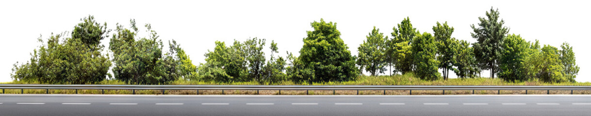 Line of green trees along highway road, isolated on transparent cutout background