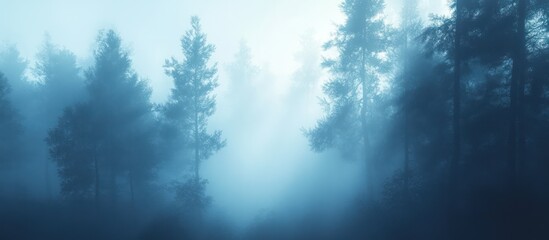 Naklejka premium Misty Forest Sunlight Nature Background Image