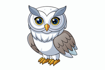 owl on white background