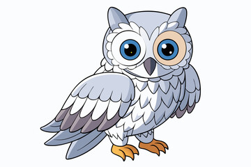 owl on white background