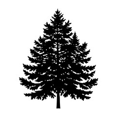Pine tree silhouette vector illustration