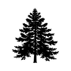 Pine tree silhouette vector illustration