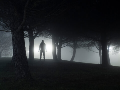 Spooky silhouette of a man standing amongst the trees in a foggy park at night, Spain