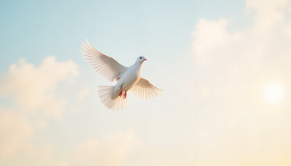 White dove in flight against pastel morning sky, symbol of peace