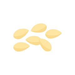 Pine nuts illustration 