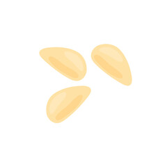 Pine nuts illustration 