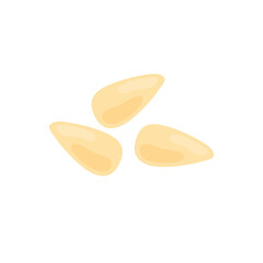 Pine nuts illustration 