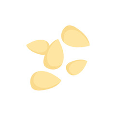 Pine nuts illustration 