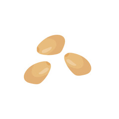 Pine nuts illustration 