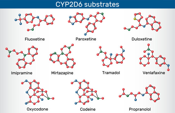CYP2D6 substrates molecule. Fluoxetine, paroxetine, duloxetine, venlafaxine, tramadol, codeine, imipramine, mirtazapine, oxycodone, propranolol metabolized by cytochrome P450 enzyme