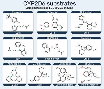 CYP2D6 substrates molecule. Fluoxetine, paroxetine, duloxetine, venlafaxine, tramadol, codeine, imipramine, mirtazapine, oxycodone, propranolol metabolized by cytochrome P450 enzyme.