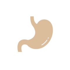 The Anatomy of Digestion: A simplified illustration of the human stomach, essential to life, showcasing its form and function within the body, highlighting its critical role in digestion.