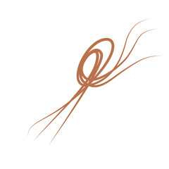 Illustration of brown hair