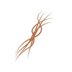 Illustration of brown hair