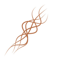 Illustration of brown hair