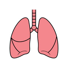 Anatomical Lungs: This illustrative depiction presents a clear and concise image of a pair of human lungs, the key organ. The drawing emphasizes the shape and structure.