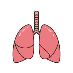 Human Lung Anatomy: An illustrative depiction of healthy lungs, showcasing their structure and the intricacies of the respiratory system, perfect for medical and educational uses.