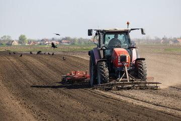 Fototapeta premium Tractor preparing land with seedbed cultivator.