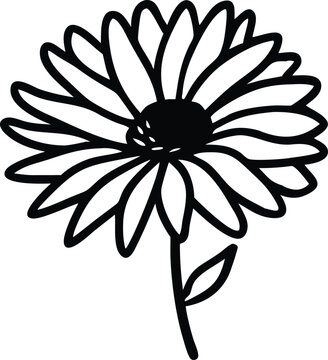 recommend clip art: Elegant Everlasting Daisy and Edelweiss Flower Logo Design