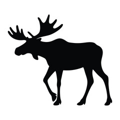 deer vector illustration