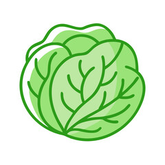 cabbage colored icon isolated on transparent background 
