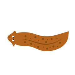 Planarian flatworms illustration