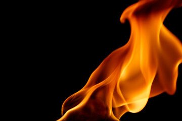 Vibrant Flames Dancing in Darkness with Elegant Curves and Colors