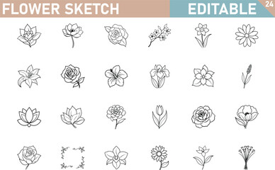 Editable Flower Sketches Line Art, Botanical Illustrations, Floral Designs