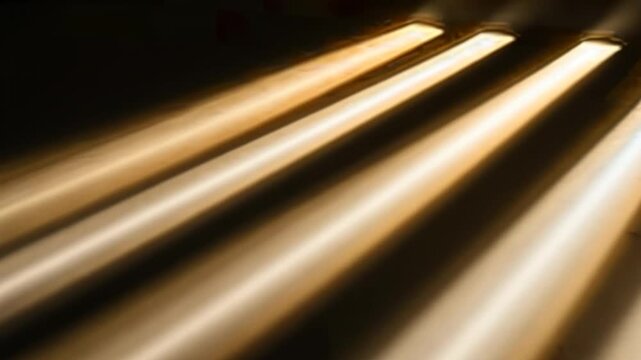 Illuminated Pathways: A Study in Light and Shadow