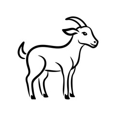 goat isolated on white