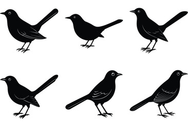vecror bird sihouette