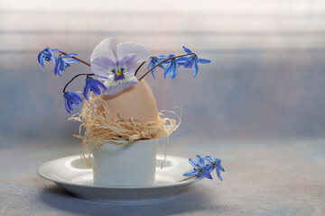 Easter card. Egg cup with pansy flower and blue scilla in eggshell on colorful background