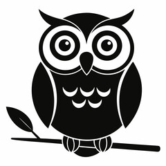 owl on white background