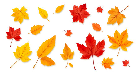 set of autumn leaves