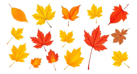 Fototapeta premium set of autumn leaves