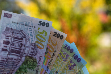 Romanian LEI Currency Banknote