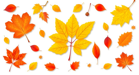 Naklejka premium set of autumn leaves
