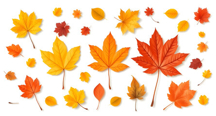 set of autumn leaves