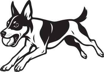 jumping rat terrier dog with ball on his teeth