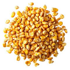 Golden Corn Kernels Scattered on Black Background