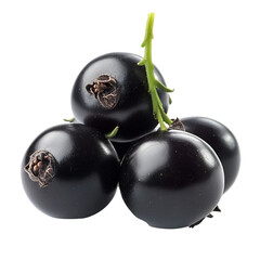 Blackcurrants fresh ripe berries cluster closeup