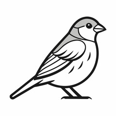 vector illustration of a Sparrow