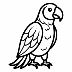 vector illustration of a  parrot