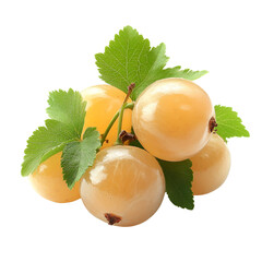 Ripe Yellow Gooseberries Fresh Harvest Healthy Snack,
