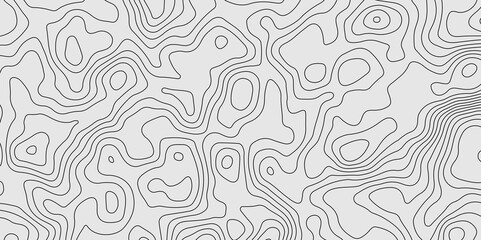 topographic background and texture. topographic line contour map background, Topographic map and landscape terrain texture grid. monochrome image. 3D waves.