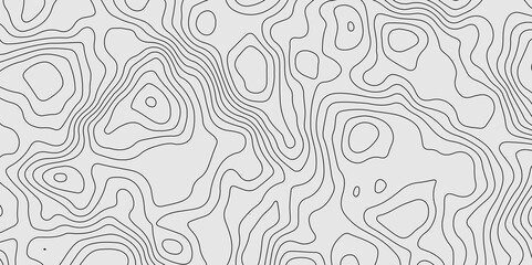 topographic background and texture. topographic line contour map background, Topographic map and landscape terrain texture grid. monochrome image. 3D waves.
