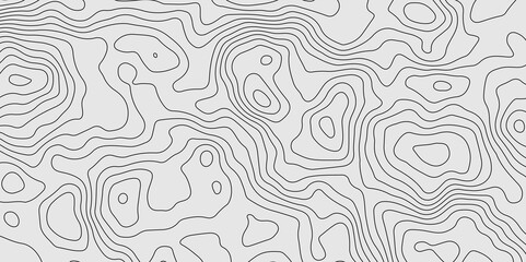 topographic background and texture. topographic line contour map background, Topographic map and landscape terrain texture grid. monochrome image. 3D waves.