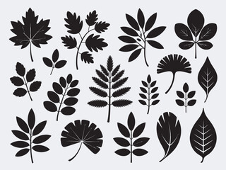 Obraz premium set of black silhouettes of leaves