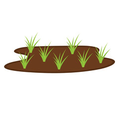 Obraz premium Organic paddy rice. Vector illustration.
