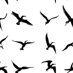 Obraz premium Collection of Albatrosses pattern vector designs, Albatrosses seamless pattern
